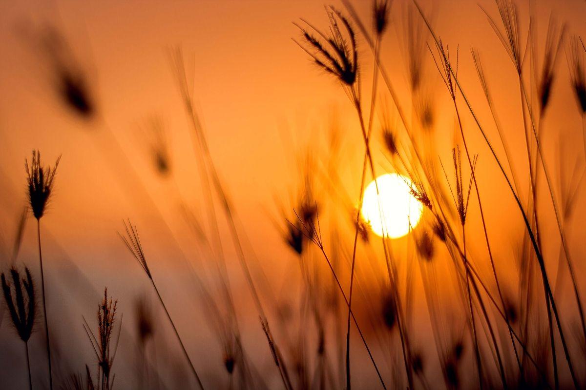 ¿Qué ocurre en el solsticio de verano? | Red Radio
