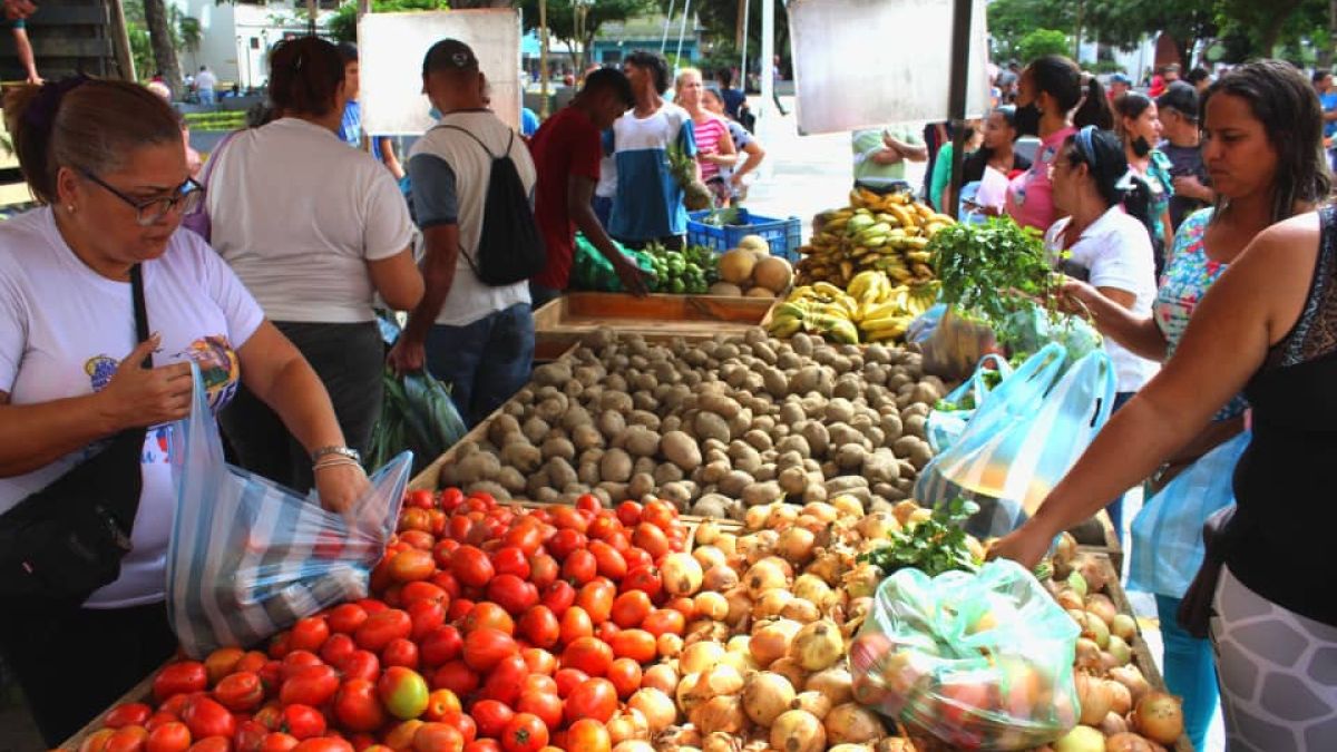 lucha contra el hambre