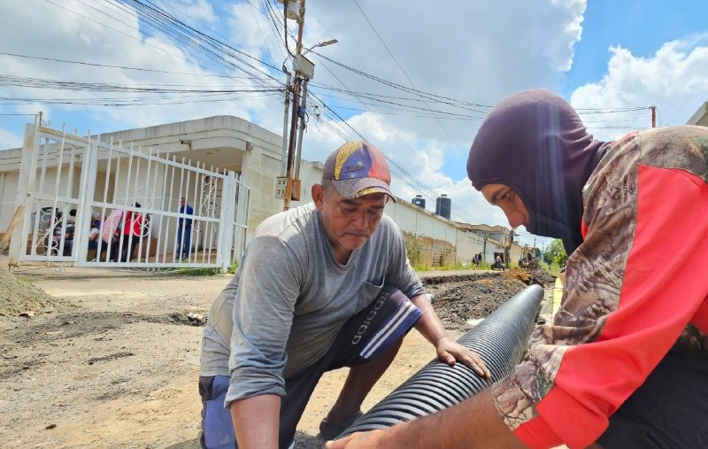 En tres semanas la gente de Los Modines tendrán sus colectores servidos