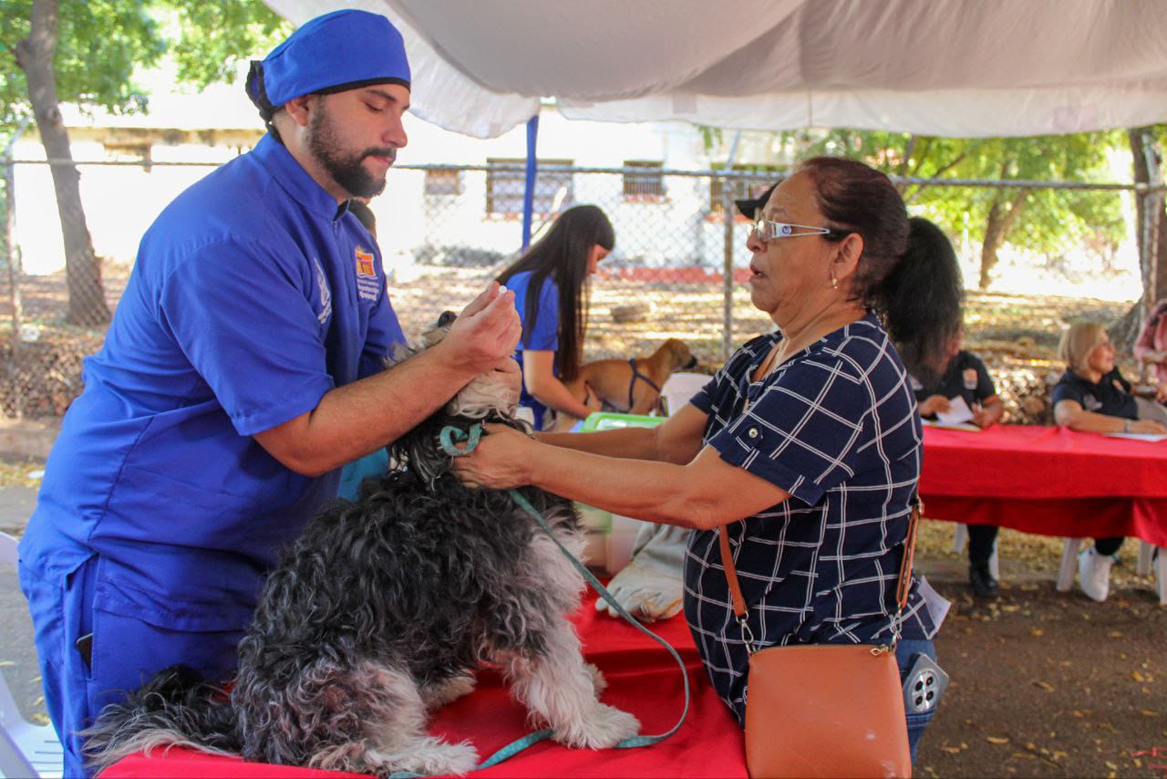 Maracaibo Mascota: Mil esterilizaciones y más de 5 mil atenciones a los peludos de la casa
